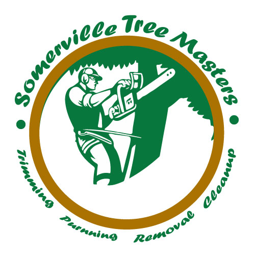 Somerville-Tree-Masters