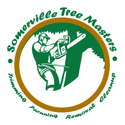 Somerville-Tree-Masters