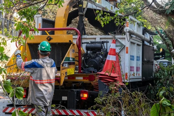 Commercial Tree Care