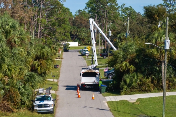 Tree Cutting & Trimming