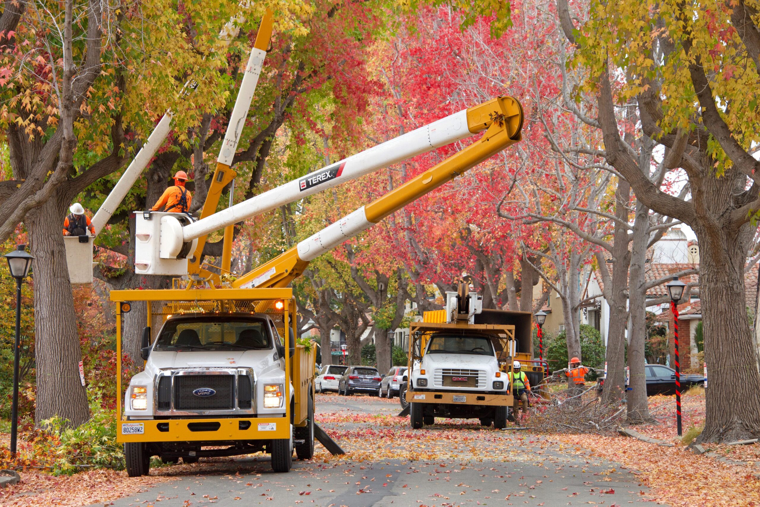 tree trimming van
