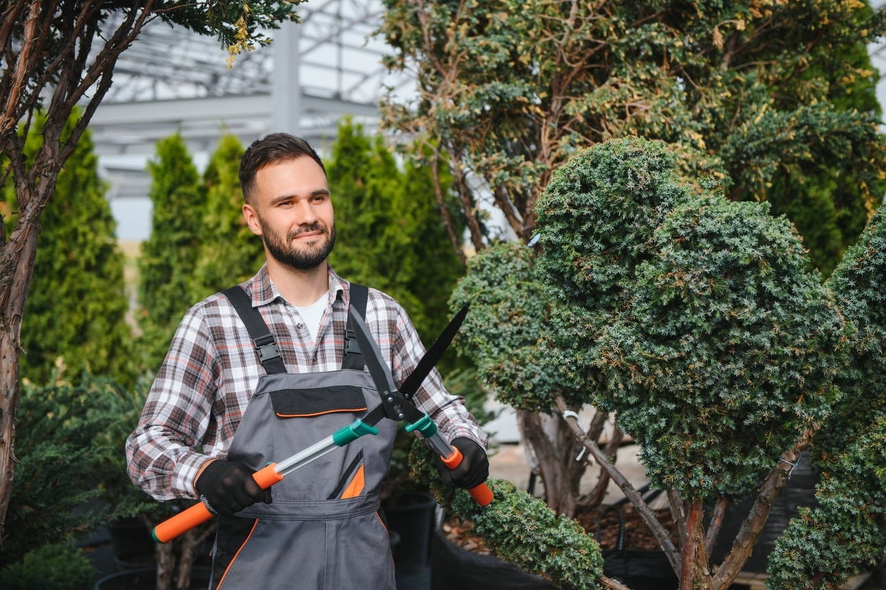 tree services somerville