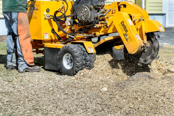 Stump Removal